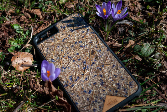 The Ultimate Guide to Eco-Friendly Phone Cases