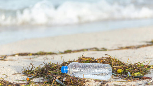 Ditching Plastic: Your Guide to a Greener Lifestyle