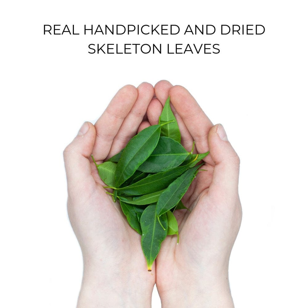 MMORE Cases Organic Case - Skeleton Leaves